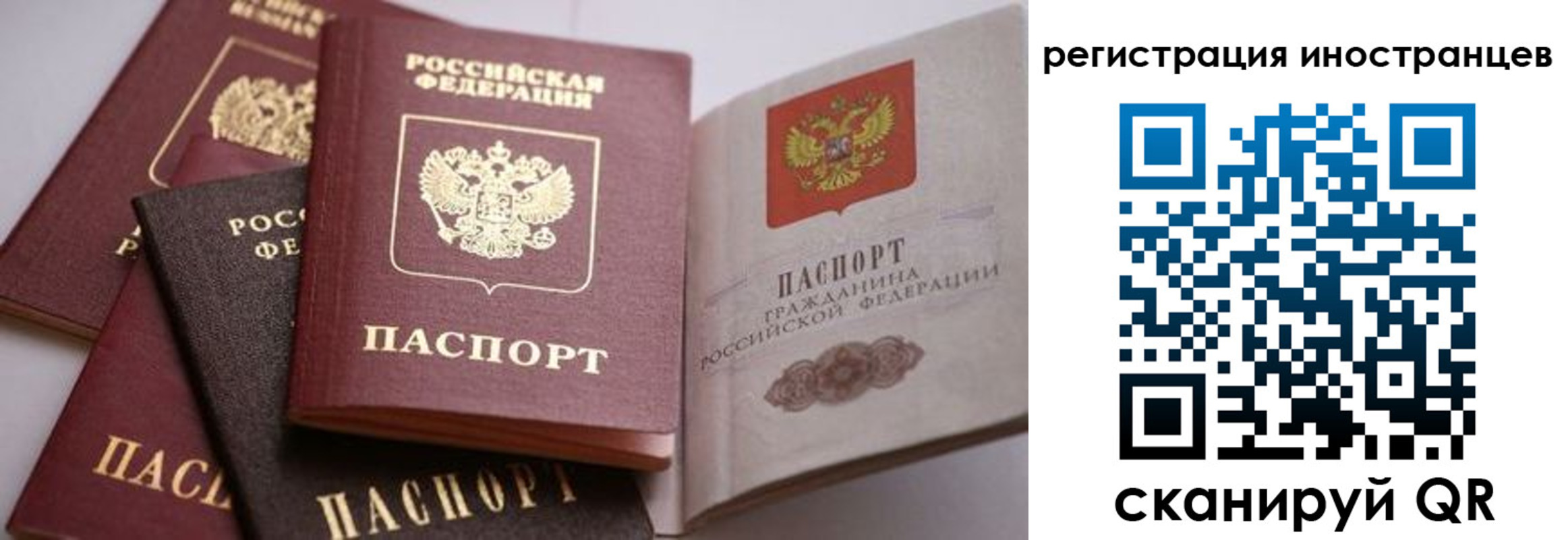 прописка штамп в Пролетарске